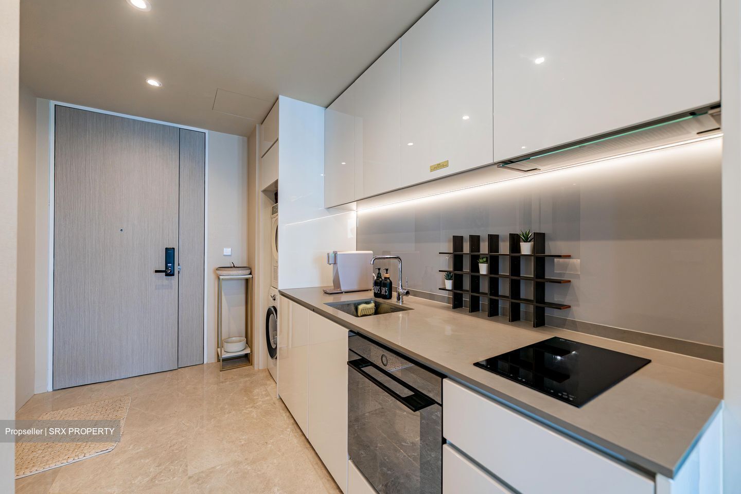 Amber Park (D15), Condominium #499104071